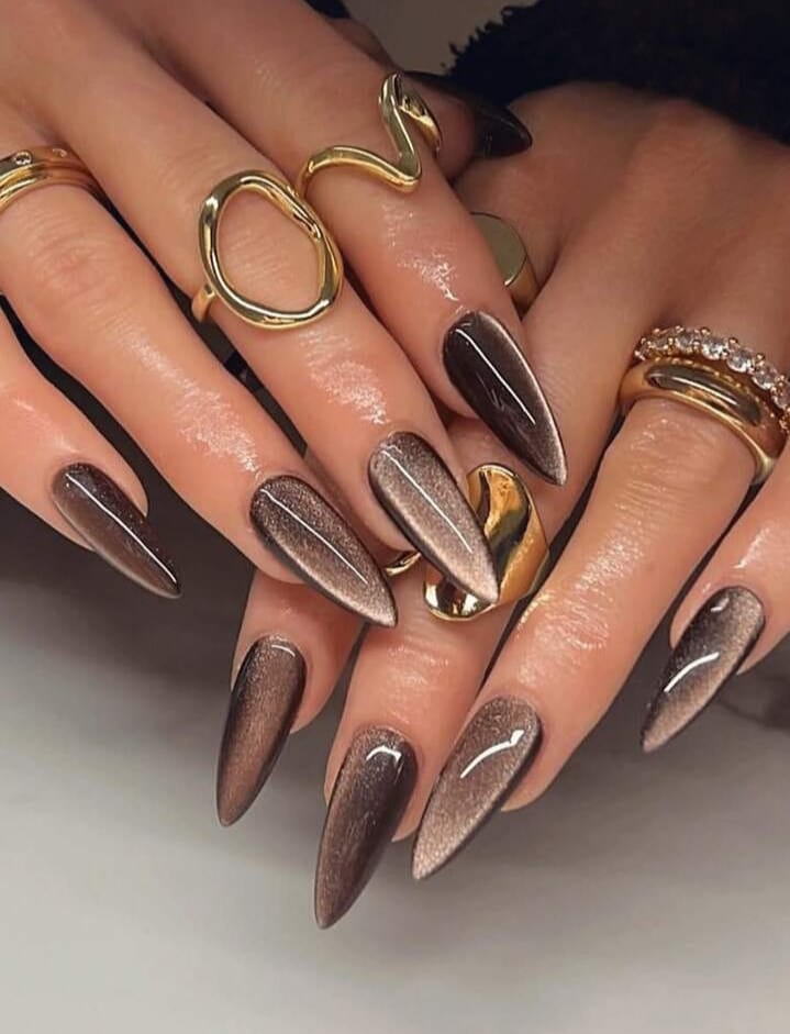 Glossy Brown Cat Eye Almond Nail